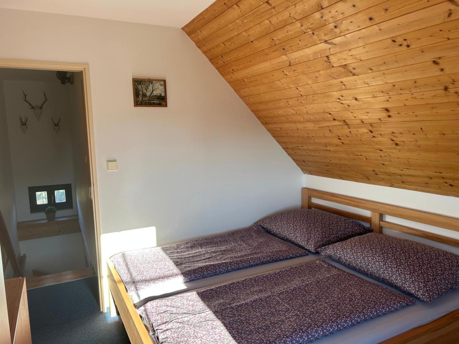 Vila 66 - Cista V Krkonosich Černý Dŭl Exterior foto